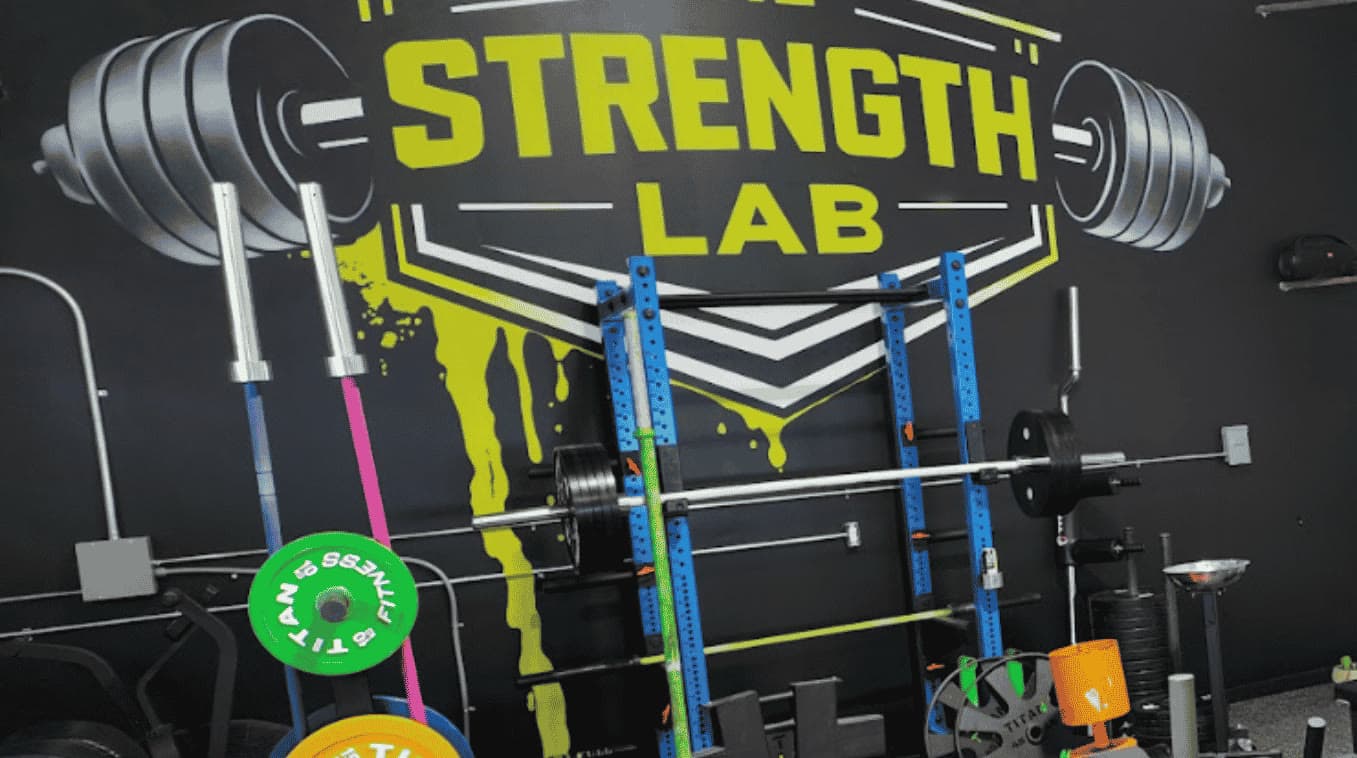 Close-up of the wall mural logo with a blue steel rack and Titan Fitness plates